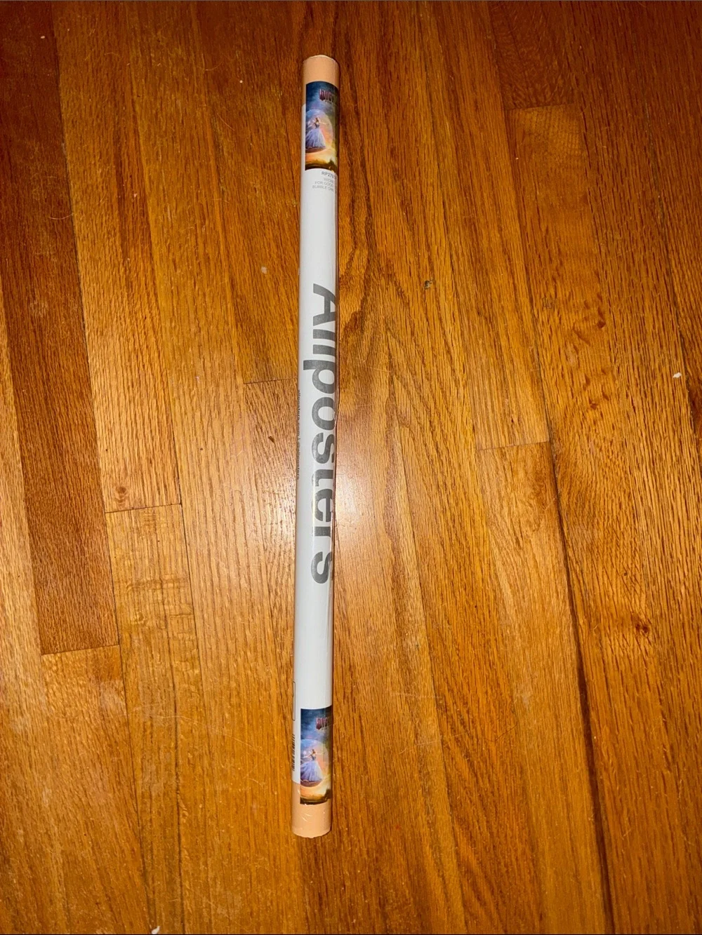 Wicked For Good Decorative Poster Tube in White